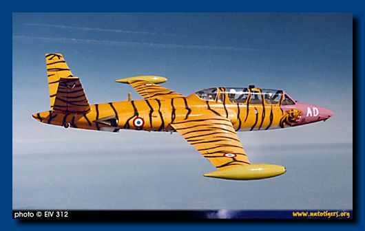 foto fouga tigre 2